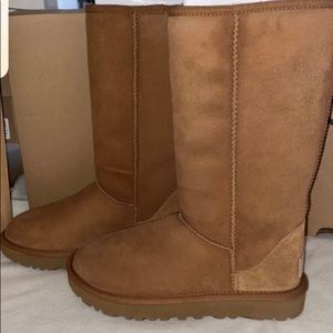 UGG CLASSIC TALL